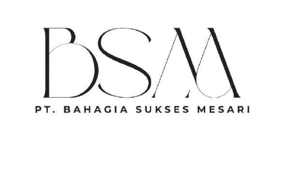 Logo BSM